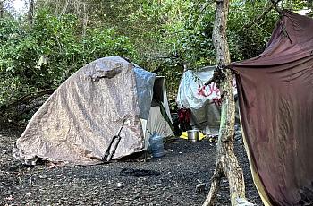 Tent in a forest