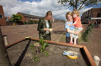 "Guerrilla gardening" takes advantage of unusual spaces.