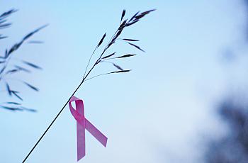 Breast Cancer Pink Ribbon
