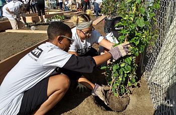 Volunteers help build a new garden and green space in Watts last month. (Photos courtesy L.A. County Department of Mental Health