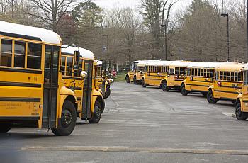 School buses lined up in parking lot