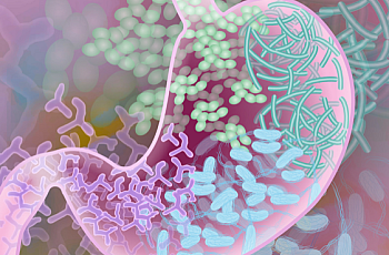 [Image: NIH/NHGRI via Flickr.]