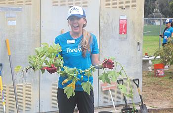 Ali Steward, Beach Cities Health District’s director of Youth Services, cleans up a school garden during BCHD’s Volunteer Day.