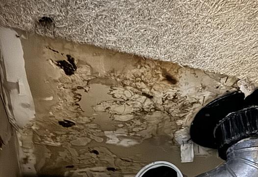 Mold on ceiling