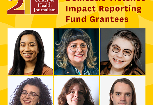 DV grantees 2025