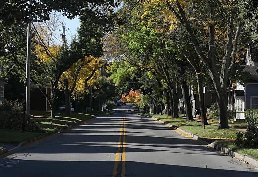 A tree-lined street in Rochester, New York.