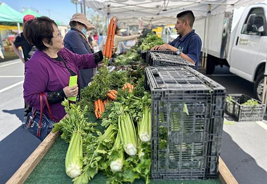 Woman at a vegetable stand