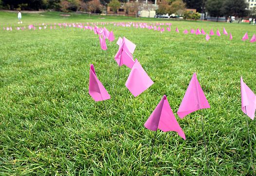 Small pink flags planted in a garden