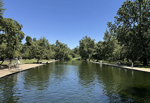 Water body with trees on either side