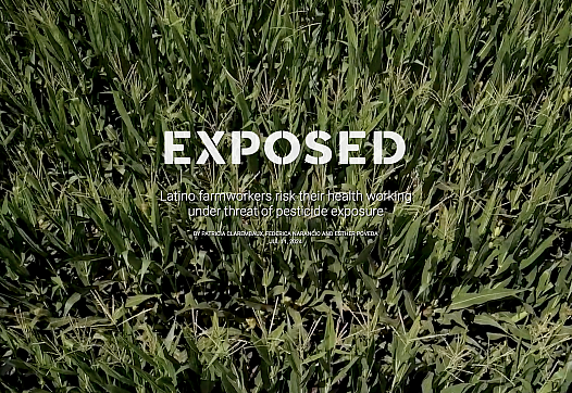 Grass background with white text