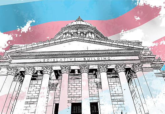 A sketch of US Supreme Court with trans flag as background