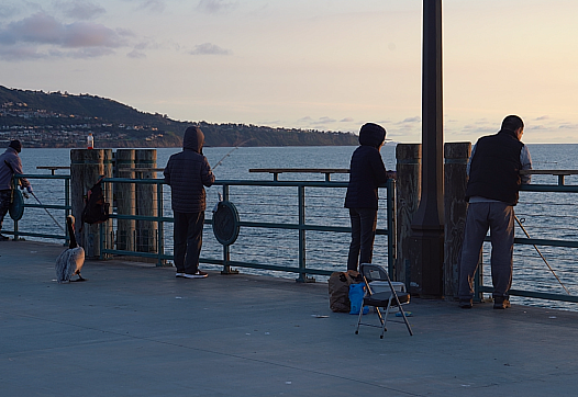 Image of people fishing at pier