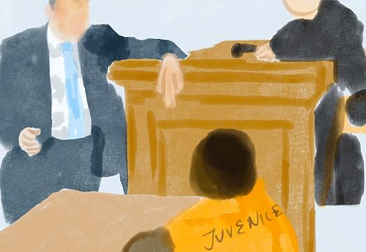 A  drawing of the court 