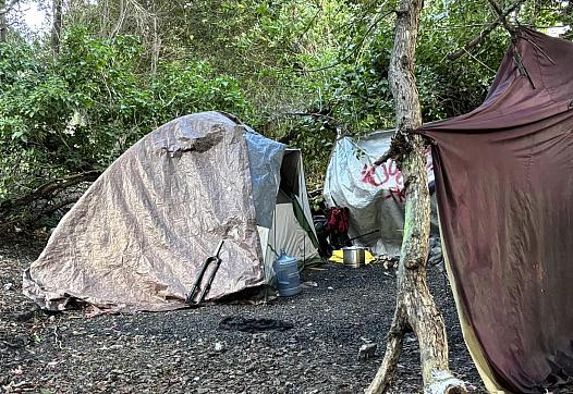 Tent in a forest