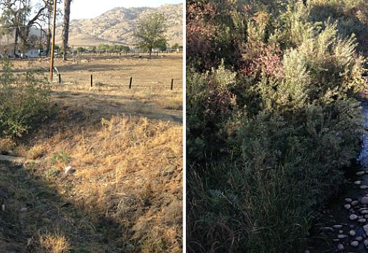 The barren river bed in the photo on the left is the channel off of the Tule River that in a wet year refuels the aquifer to homes in East Porterville. The photo on the right is of the Tule River just a mile north of where the wells have gone dry. (Ezra David Romero/KVPR)