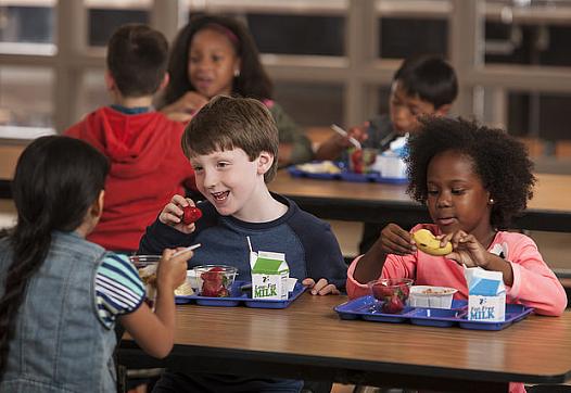 kids eating lunch
