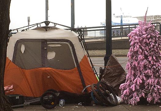 Along the Embarcadero, January 2022.