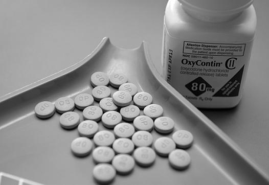 Although drugs dispensed in California are entered into a state database, people who are doctor-shopping for prescription medica