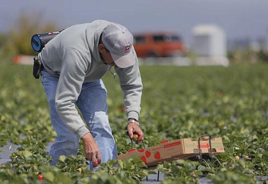 Thursday's Farmworker Housing Study Forum looked to develop an action plan moving forward.