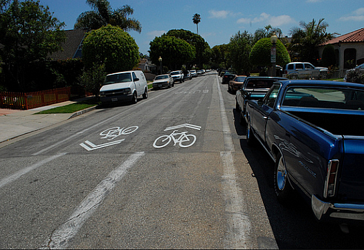 Sharrows on Wesley Street