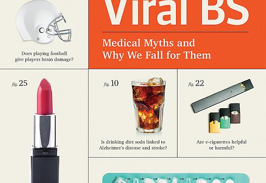 Viral BS book cover