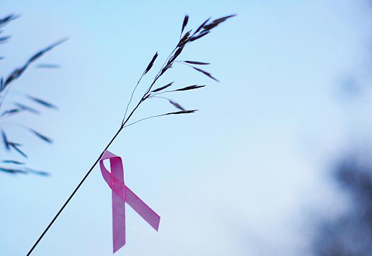  Breast Cancer Pink Ribbon