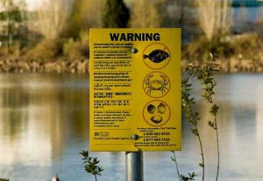 Some anglers who ignore posted warnings are under the impression that cooking the fish found in contaminated water removes any d