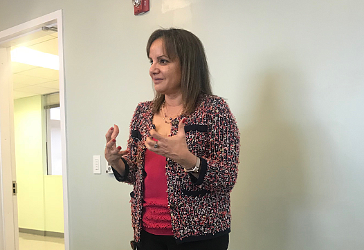 Pia Escudero, director of school mental health for LAUSD, speaks to fellows this week about trauma-informed care in schools.