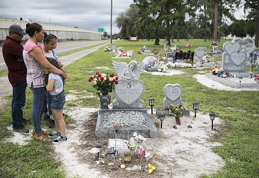 (Photo by Eve Edelheit for the Tampa Bay Times)