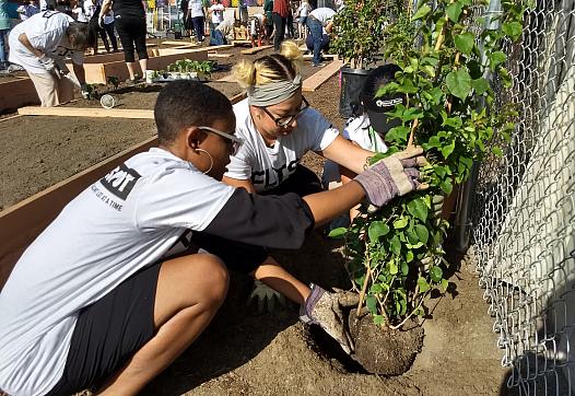 Volunteers help build a new garden and green space in Watts last month. (Photos courtesy L.A. County Department of Mental Health