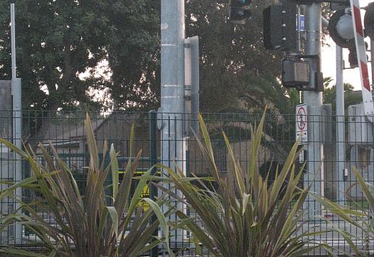 Healthy 'Hoods: How do you build a healthy community?