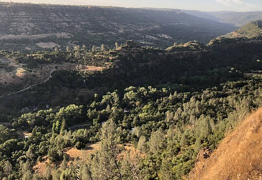 A June 2018 photo of Butte Creek Canyon from the road connecting Chico to Paradise. Much of this canyon has burned. (Laura Kliva