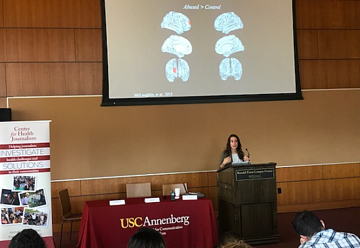 Katie McLaughlin, director of the Stress and Development Lab at the University of Washington, speaks to fellows at the 2017 Nati