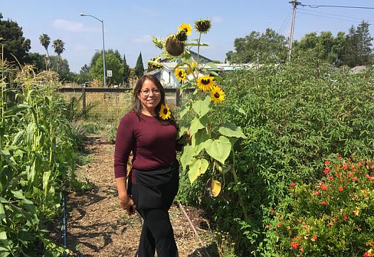 Maria de los Angeles Quiñones stands in the medicinal herb garden at Bayer Farms. Photo Credit: Adia White