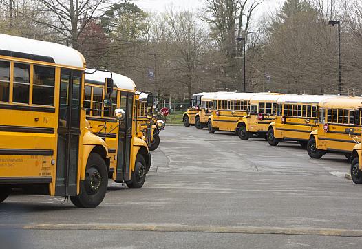 School buses lined up in parking lot