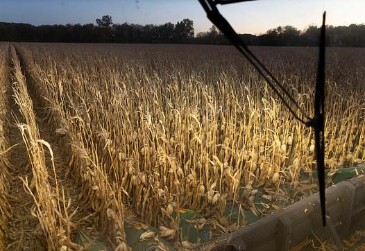 Farmer Jason Othmer operates a combine as he harvests corn near Vesta, an unincorporated community in Johnson County in southeas