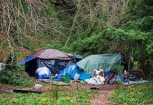 A homeless encampment in Olympia, Wash.