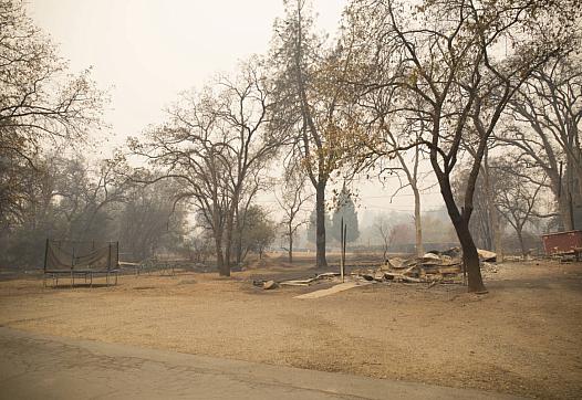 The site of Sabrina Hanes' home on Nov. 13, 2018. (Anne Wernikoff/KQED)