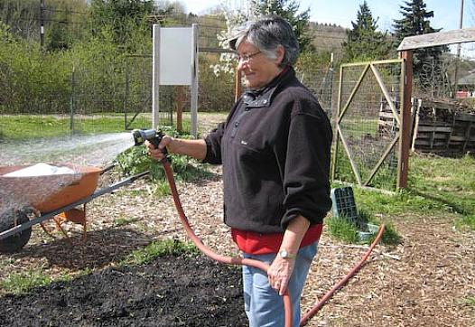 Sue McGann waters a bed of quinoa at Marra Farms.