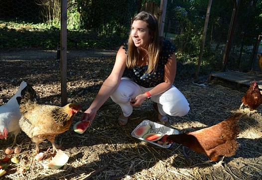 Leslie Mullowney, who was contacted after responding to our call-out. Here she feeds the chickens at the Napa home she and her f