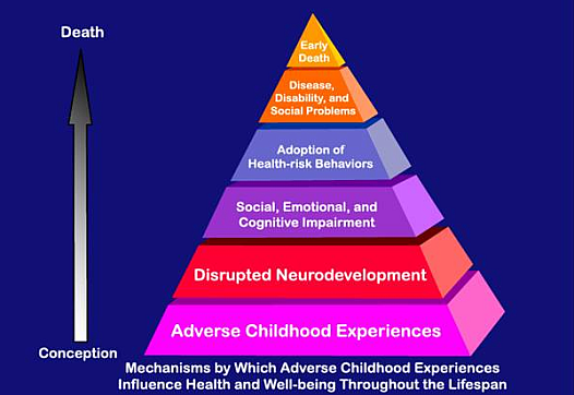 Adverse Childhood Experiences Study