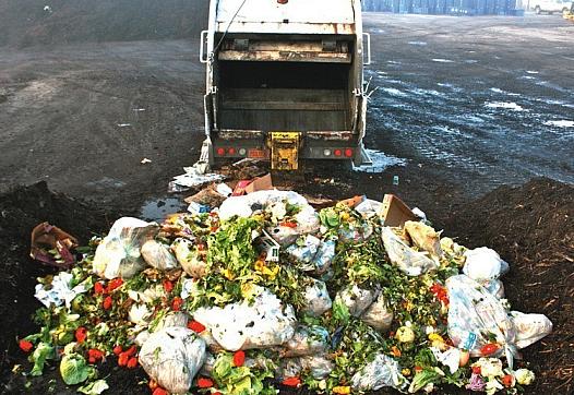 https://thefatbastardgazette.wordpress.com/2016/08/04/think-twice-when-throwing-food-away/