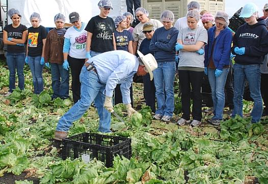 Evaluating nutrition education efforts at Santa Cruz's Second Harvest Food Bank
