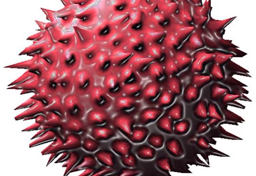 Swine flu virus