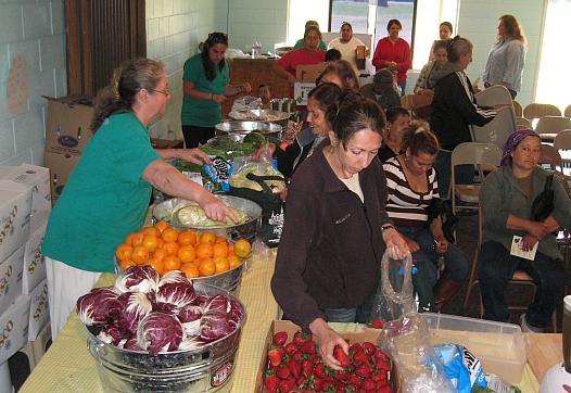 The power of peer education: Nutrition education outreach at second harvest food bank