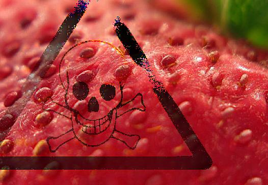 Banned Pesticide Use Remains High in CA Strawberry Fields