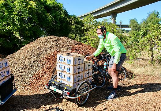 Volunteers with the Silicon Valley Bicycle Coalition load boxes of food onto their bicycles for delivery