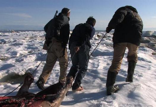 Keggulluk (left) and Evon Peter (right) after a successful seal hunt. (Marsh Chamberlain)