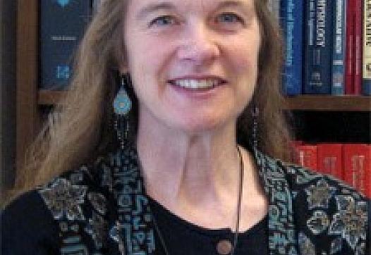 Rethinking Healthy Aging