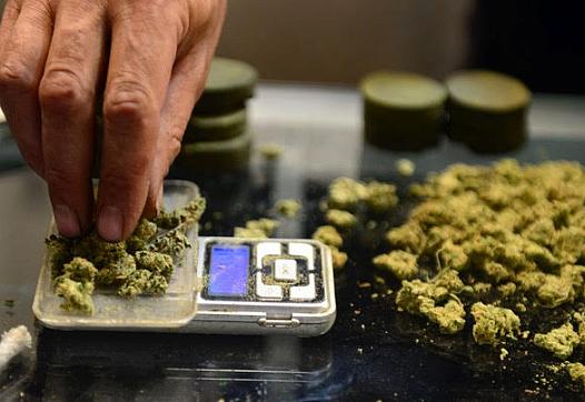 Why the time is right to take cannabis more seriously as a policy beat